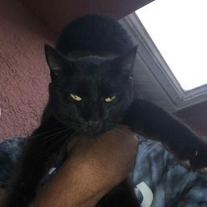 Meet your Posher, Antonio